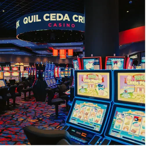 Free spins voorwaarde schema